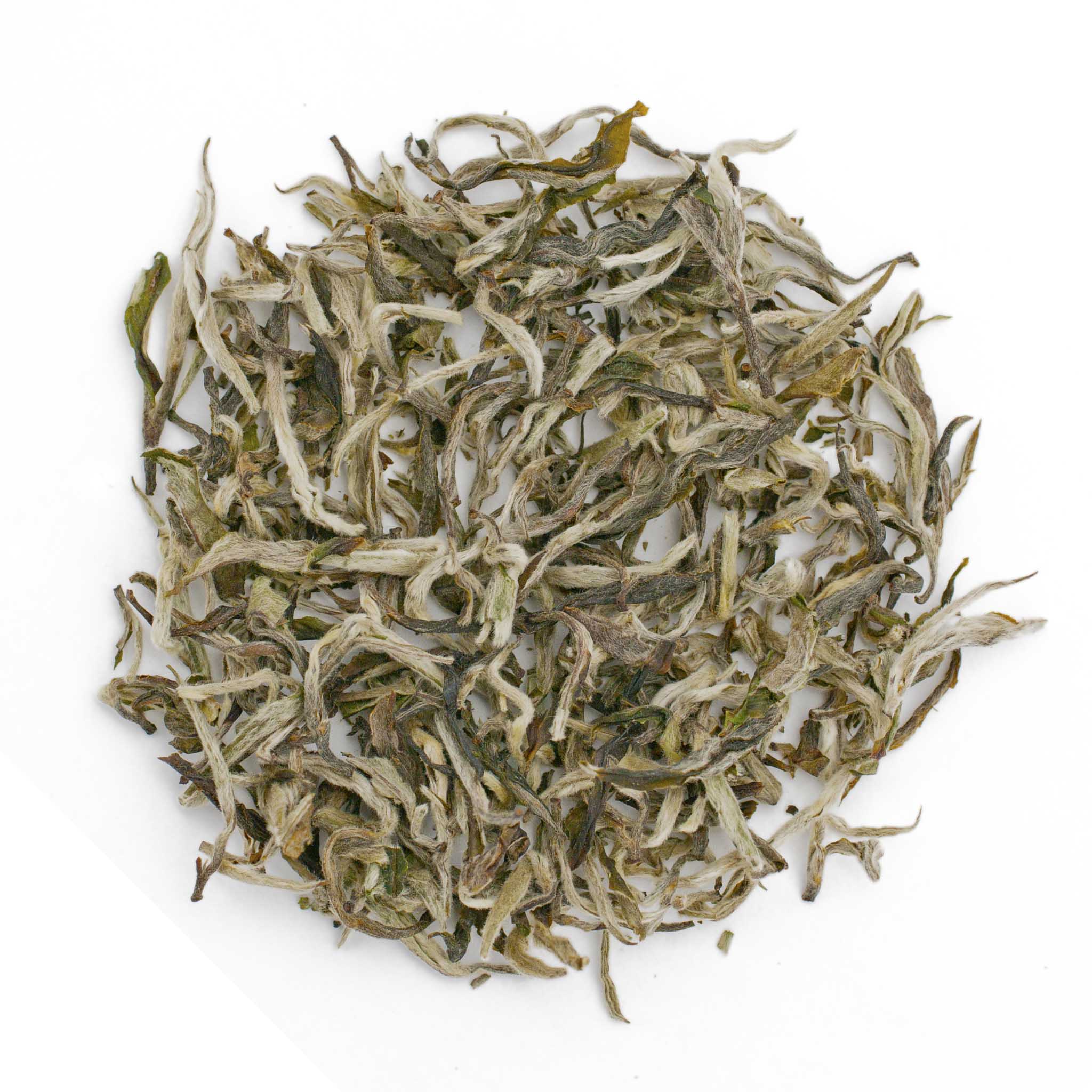 Organic White Tea - Shangri-La